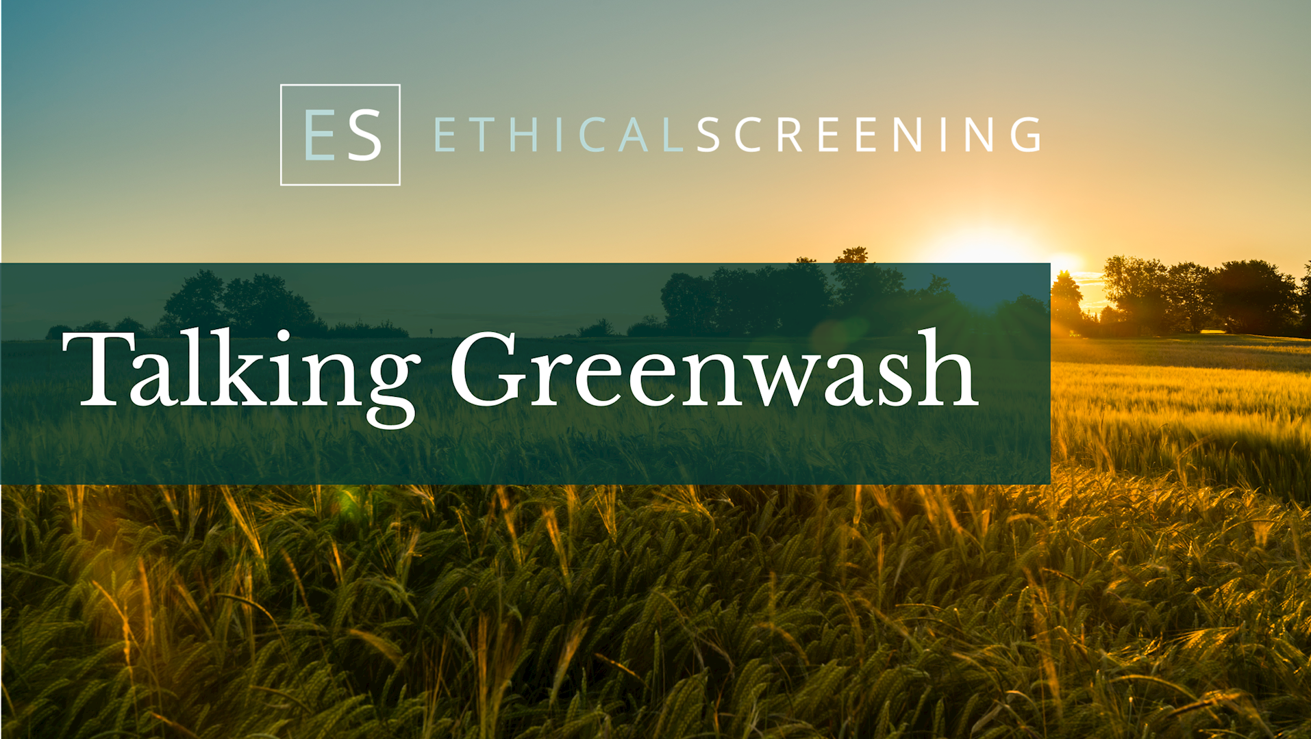 Talking Greenwash with WHEB Asset Management