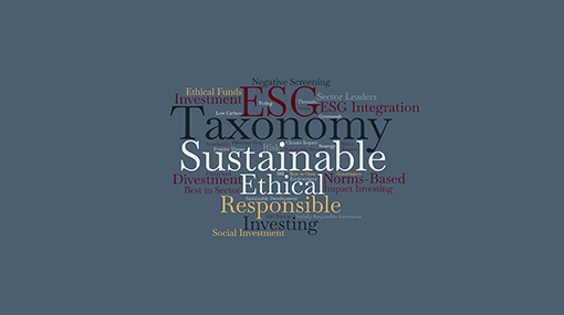 Shedding light on responsible investment taxonomy