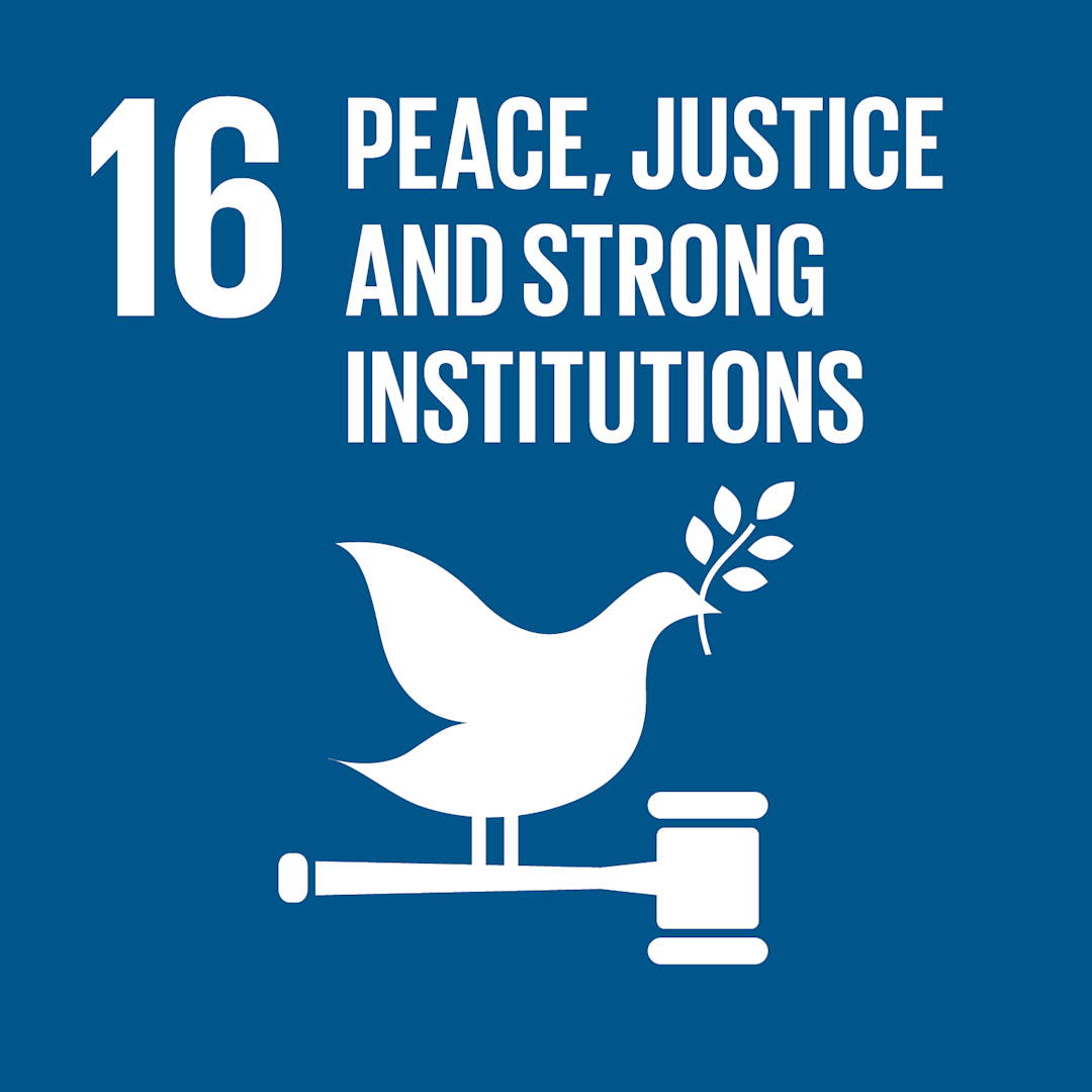 16 Peace, Justice and Strong Institutions