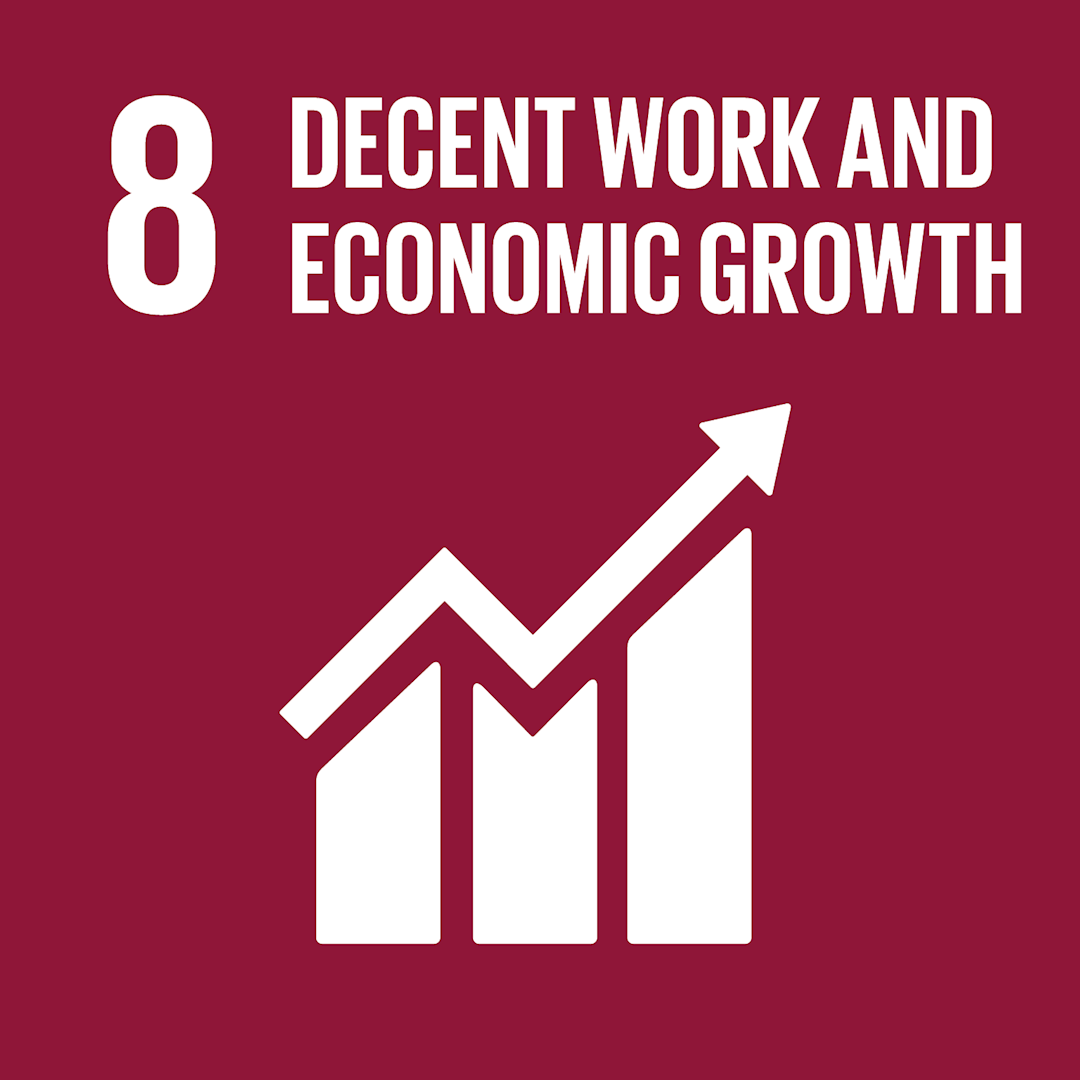 8 Decent Work and Economic Growth