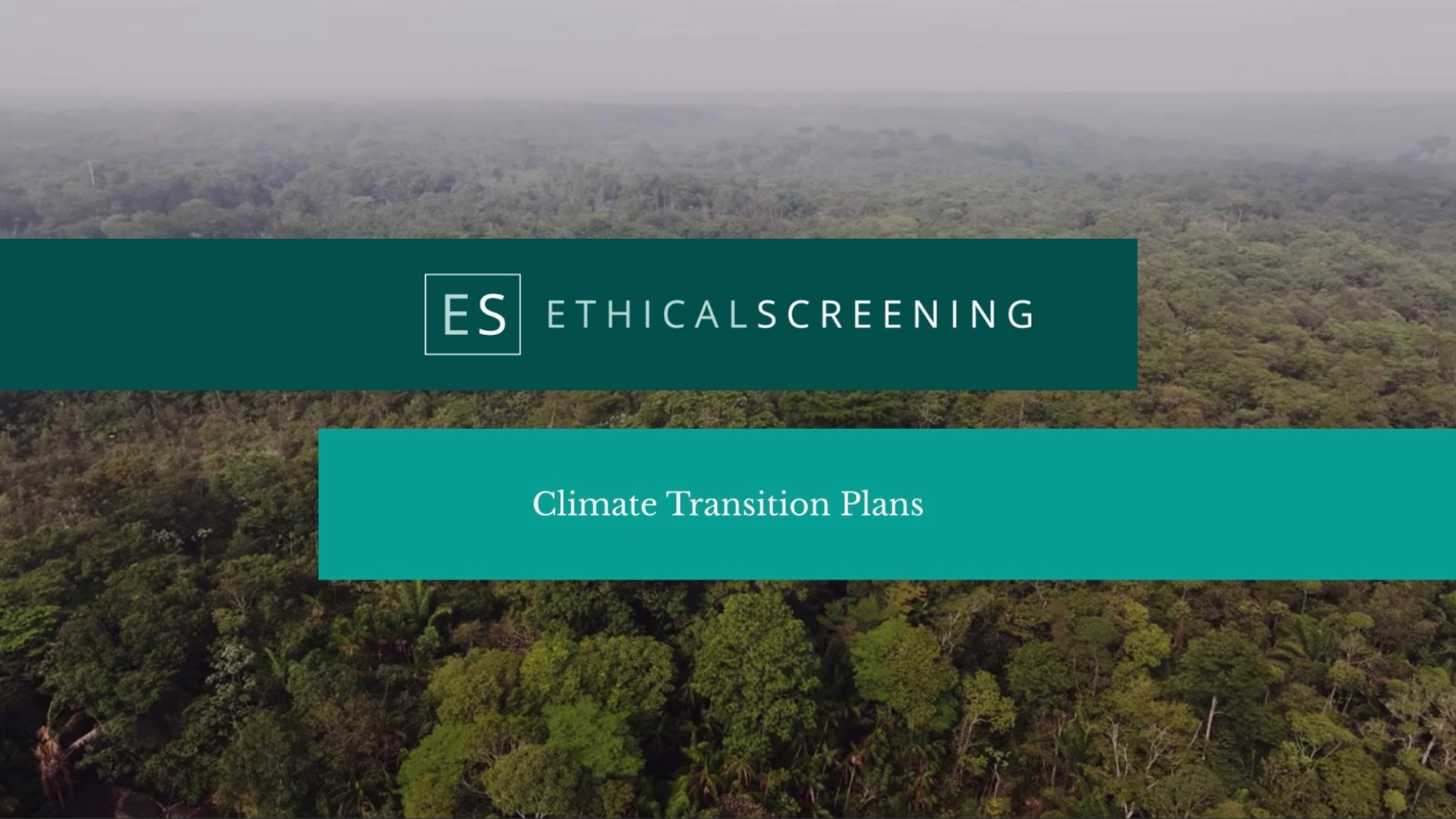 Climate Transition Plans