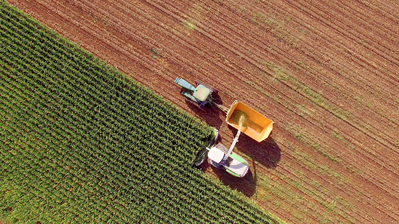 The growth of sustainable agriculture - how investors can drive sustainable farming 