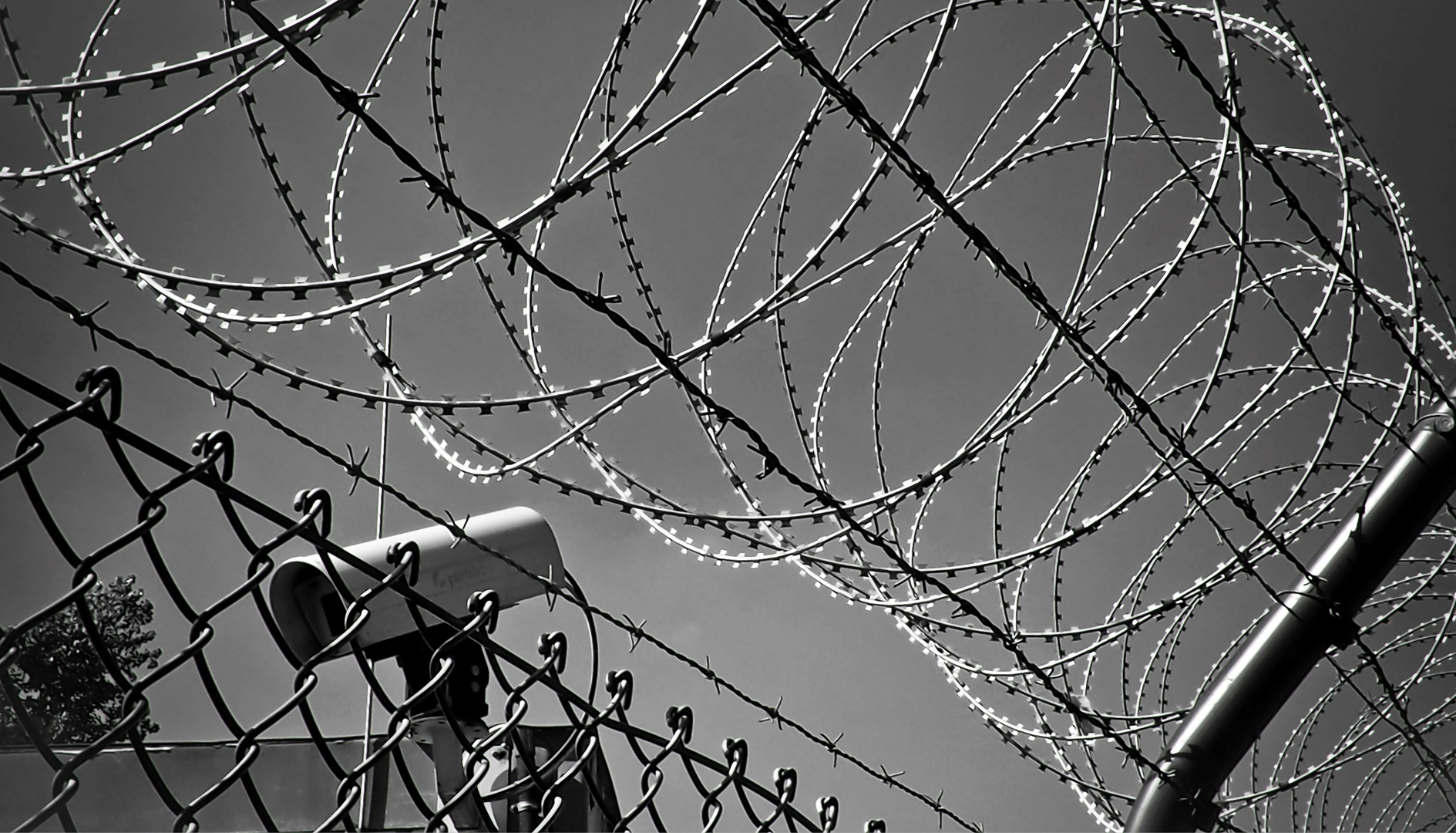 Bespoke Research Case Study: Oppression and Occupation