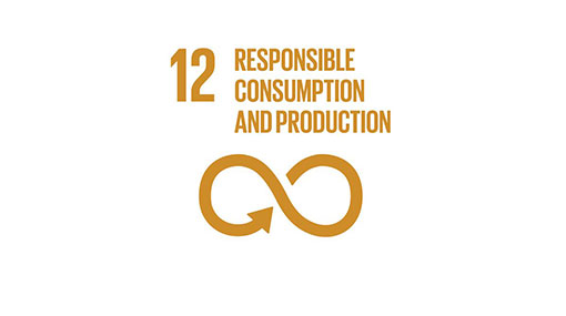 UN SDGs - Goal 12