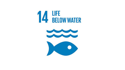 UN SDGs - Goal 14