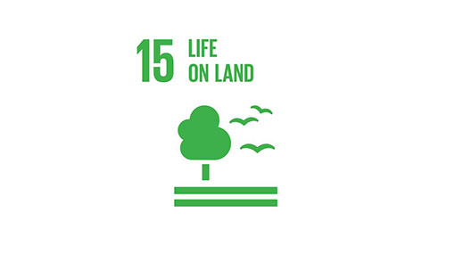 UN SDGs - Goal 15