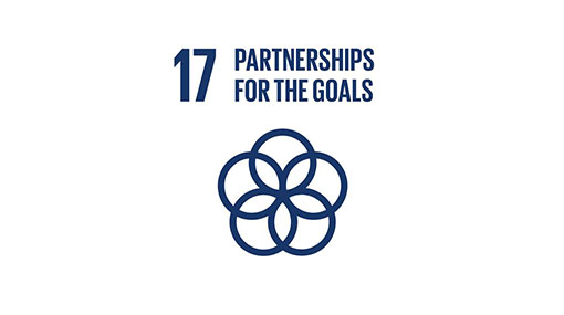 UN SDGs - Goal 17
