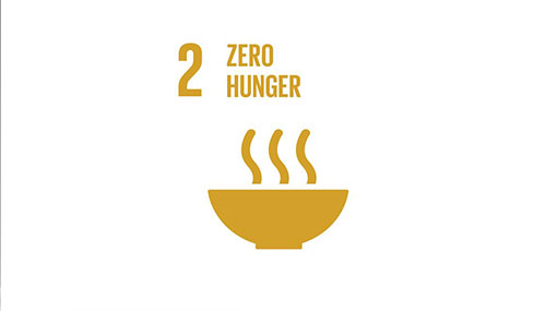 UN SDGs - Goal 2