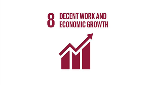 UN SDGs - Goal 8