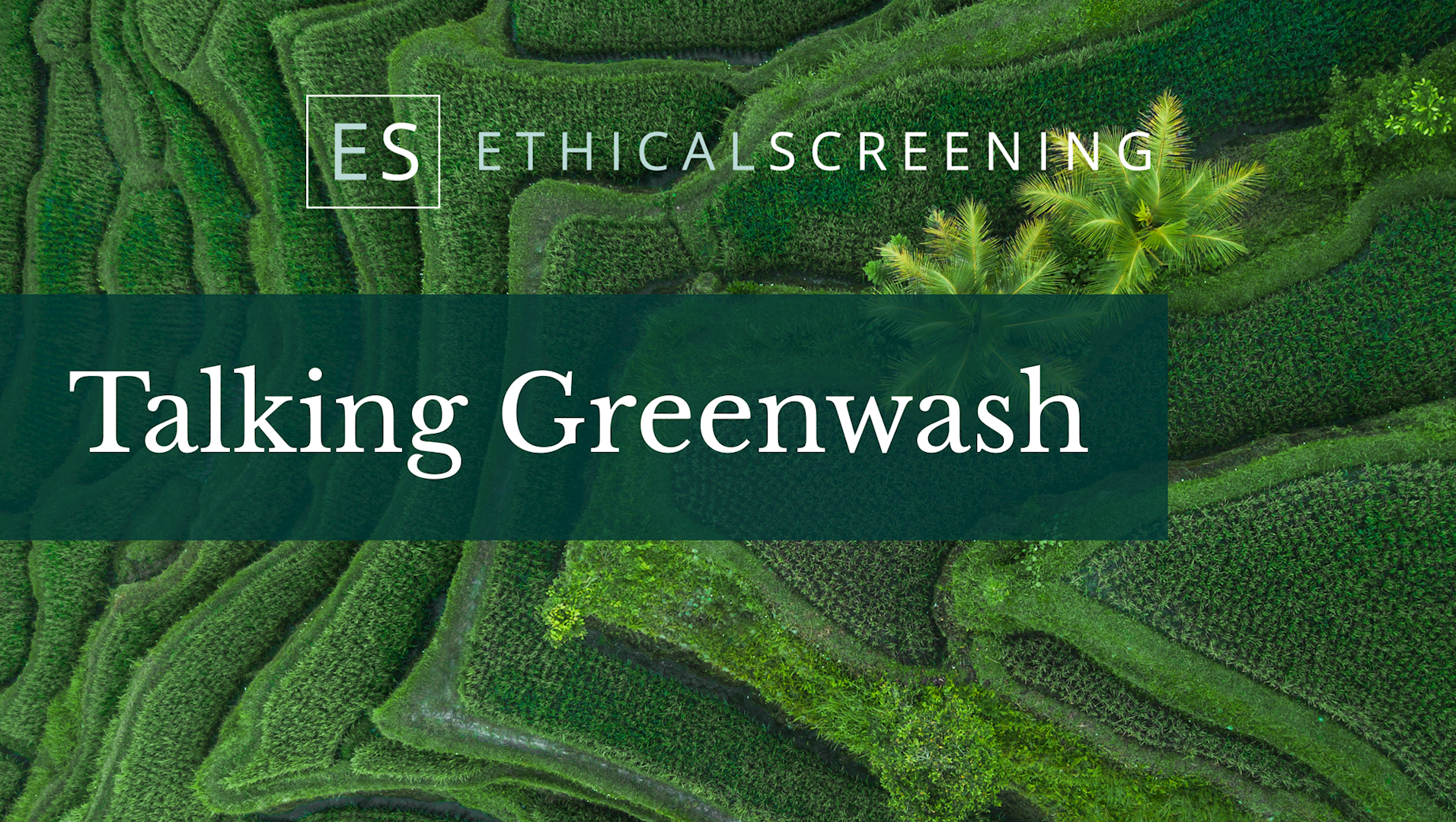 Talking Greenwash with Rathbones